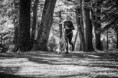 /album/fotogaleria-uvodna-stranka/a13112862-1761942524040259-4181753164978236861-o-jpg/