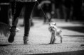 /album/fotogaleria-uvodna-stranka/a13124957-1761941724040339-3819090901501475364-n-jpg/